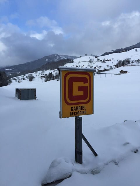 Logo panel to builiding entry