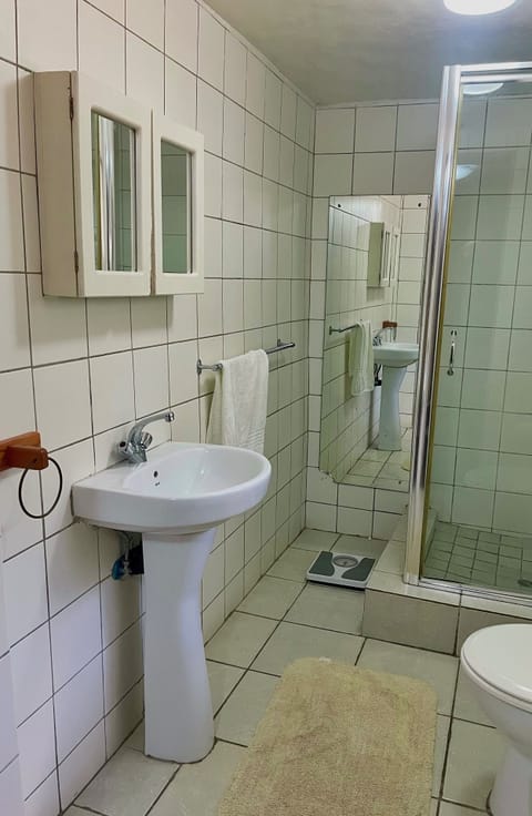 Standard Double or Twin Room | Bathroom | Shower, rainfall showerhead, hair dryer, towels