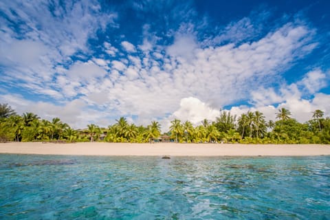 Private beach, white sand, sun loungers, beach umbrellas