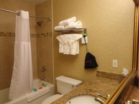 Combined shower/tub, free toiletries, hair dryer, towels