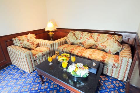 Junior Suite (Double Occupancy) | Living area | 32-inch TV with satellite channels, DVD player