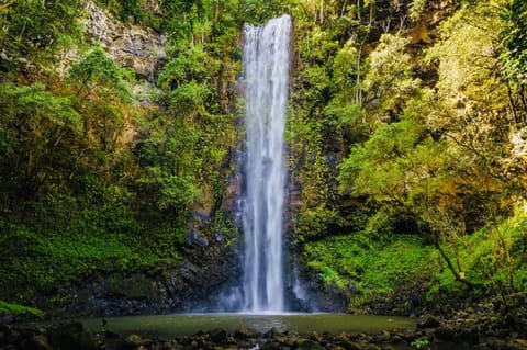 Wailua River Kayak and hike to Uluwehi Secret Waterfalls