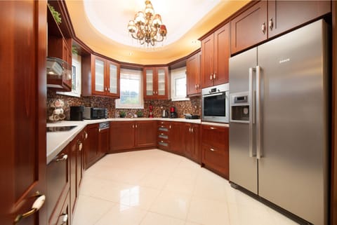 Super sleek comtemporary kitchen