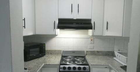 Family Penthouse, 2 Bedrooms, Mountain View | Private kitchen | Fridge, microwave, oven, stovetop