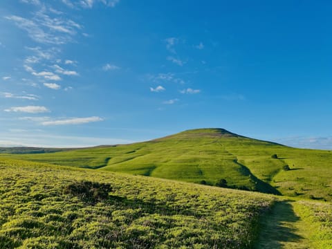 Land view from property