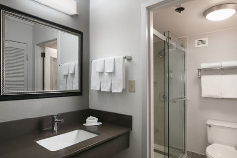 Combined shower/tub, eco-friendly toiletries, hair dryer, towels