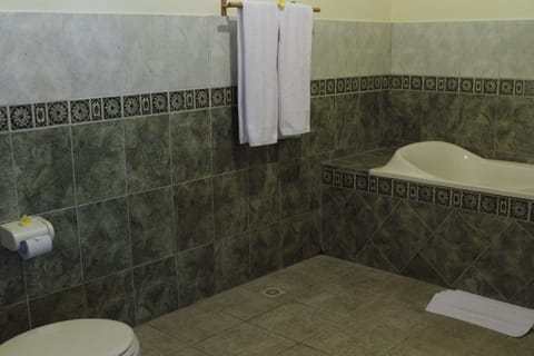 Combined shower/tub, free toiletries, hair dryer, towels