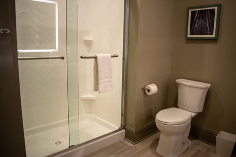 Combined shower/tub, towels