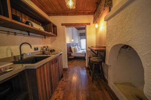 Panoramic Studio Suite | Private kitchenette | Cookware/dishes/utensils