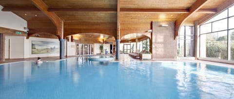 Indoor pool, sun loungers