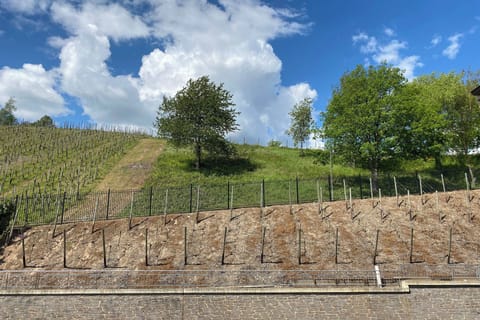 Room, 1 King Bed, Vineyard View | 1 bedroom, premium bedding, in-room safe, individually decorated