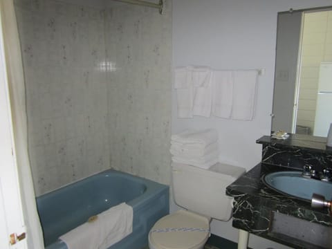 Room (Queen Room with Sofa Bed) | Bathroom | Combined shower/tub, towels