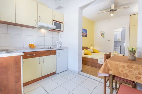 Standard Studio, Park View | Private kitchen | Fridge, electric kettle