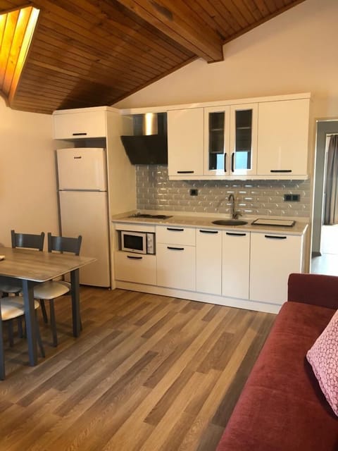 Deluxe Apartment, 1 Bedroom | Private kitchen