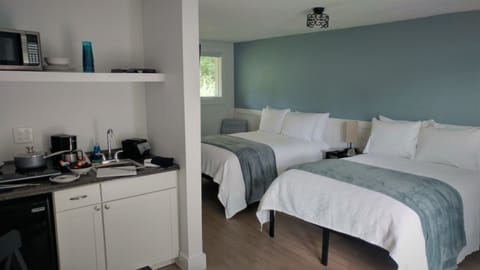Deluxe Room, 2 Double Beds | 1 bedroom, premium bedding, blackout drapes, iron/ironing board