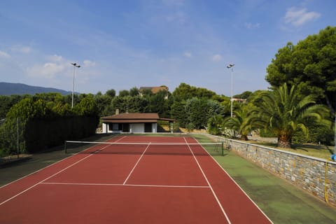 Sport court
