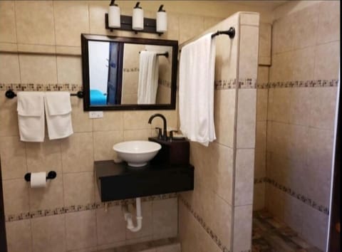 Deluxe Room | Bathroom | Shower, rainfall showerhead, free toiletries, hair dryer