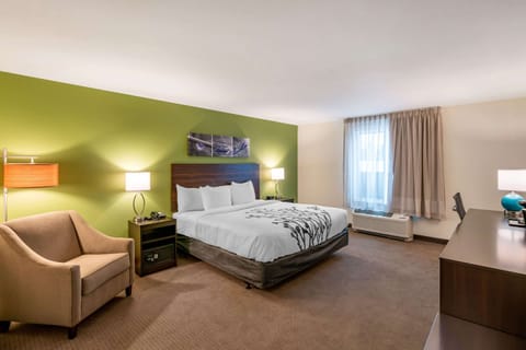 Room, 1 King Bed, Accessible, Non Smoking | Premium bedding, individually decorated, individually furnished, desk