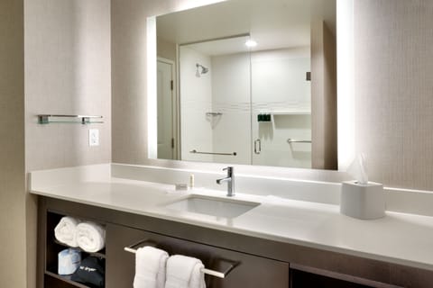 Suite, 1 Bedroom | Bathroom | Free toiletries, hair dryer, towels