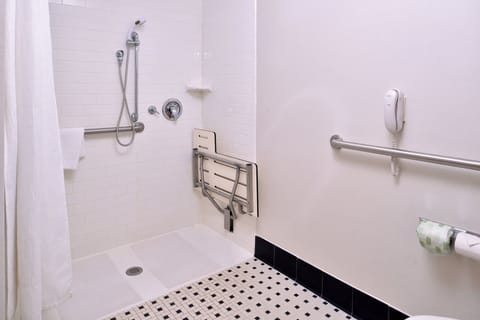 Combined shower/tub, free toiletries, hair dryer, towels