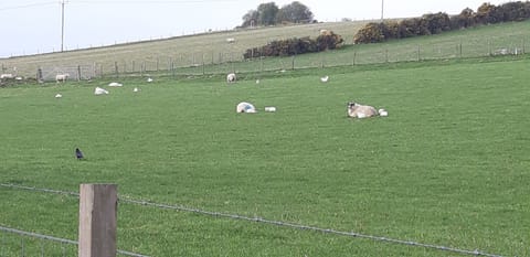 Beautiful rural location.