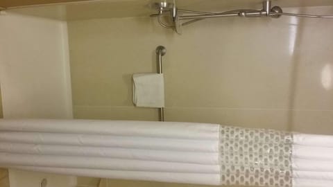 Room, 1 Queen Bed, Accessible (Mobility & Hearing, Roll-in Shower) | Bathroom | Free toiletries, hair dryer, towels