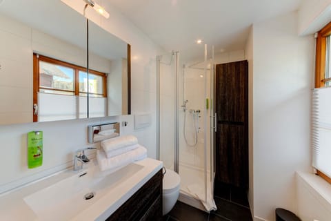 Double Room | Bathroom | Shower, hair dryer, towels, toilet paper