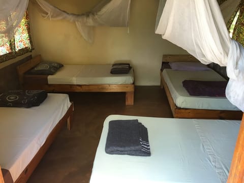 Basic Shared Dormitory, Mixed Dorm