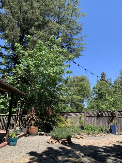 View of the front yard