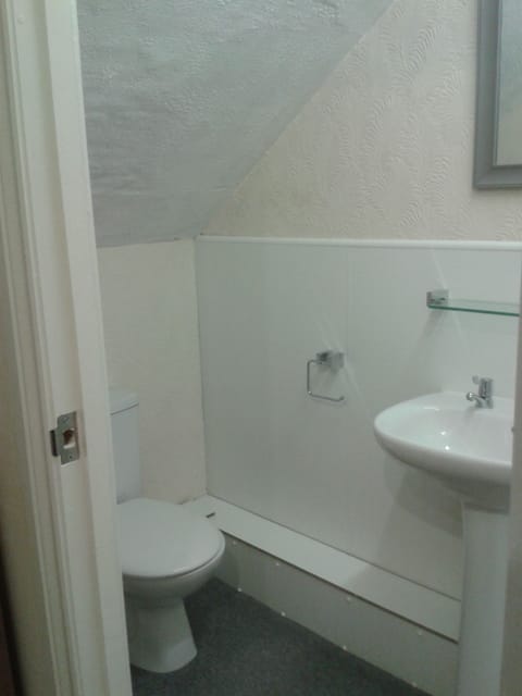 Shower, towels, toilet paper