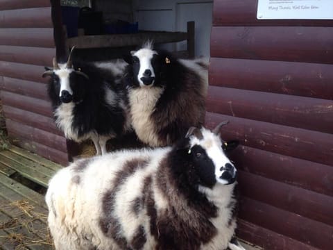 Land view from property