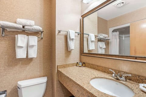 Standard Room, 1 King Bed, Non Smoking, Jetted Tub | Bathroom | Combined shower/tub, free toiletries, hair dryer, towels