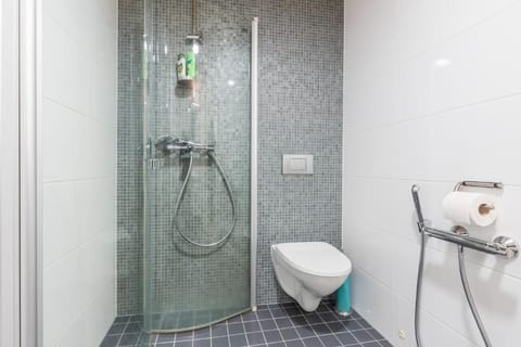 Apartment, 1 Bedroom, Balcony | Bathroom | Shower, hair dryer, towels, shampoo