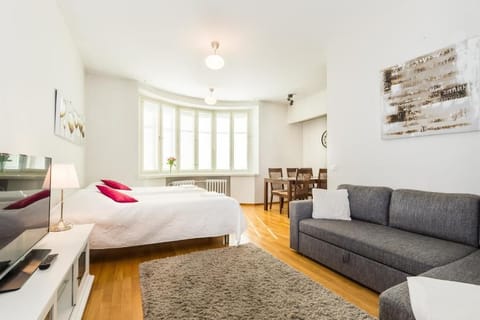 Apartment, 1 Bedroom, Sauna, City View | Living area | Flat-screen TV
