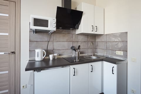 Apartment, Sauna, City View (Kirova 3) | Private kitchen | Full-size fridge, microwave, stovetop, electric kettle