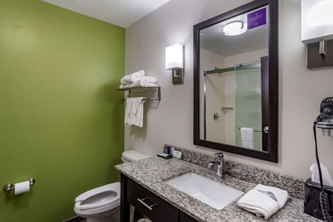 Standard Room, 1 King Bed, Non Smoking | Bathroom | Free toiletries, hair dryer, towels