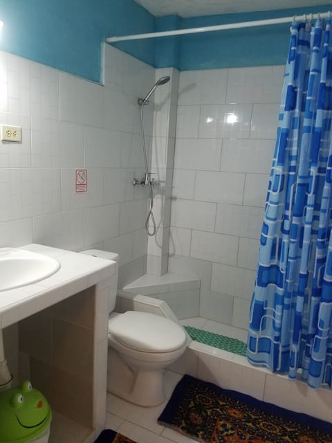 Basic Triple Room | Bathroom | Shower, free toiletries, towels