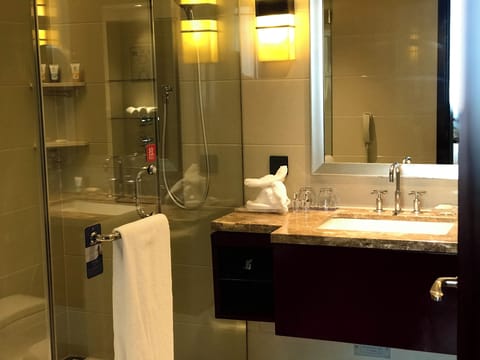 Executive Room | Bathroom | Separate tub and shower, deep soaking tub, rainfall showerhead