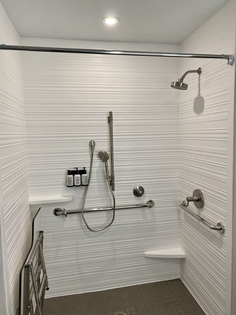 Standard Room, 1 King Bed, Accessible (Communications, Roll-In Shower) | Bathroom shower