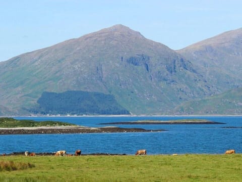Apartment, Garden View | View from room