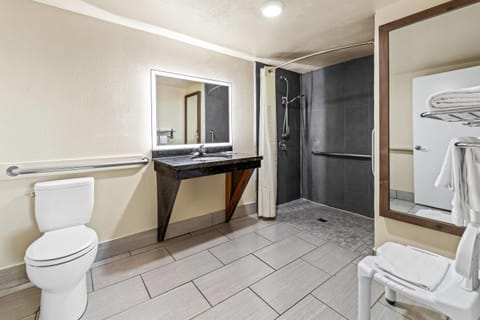 Room, 1 King Bed, Accessible, Non Smoking | Premium bedding, desk, laptop workspace, soundproofing