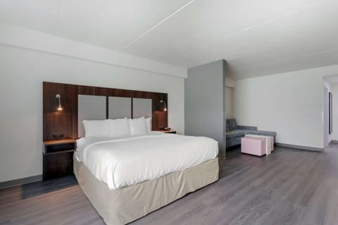 Suite, 1 King Bed with Sofa bed, Accessible, Non Smoking (Roll-In Shower) | Premium bedding, pillowtop beds, in-room safe, desk