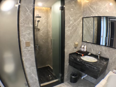 Deluxe Suite | Bathroom | Shower, free toiletries, hair dryer, bathrobes