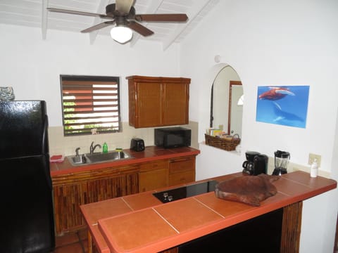 Villa | Private kitchen | Full-size fridge, microwave, stovetop, espresso maker