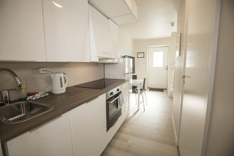 Family Apartment | Private kitchen | Fridge, oven, stovetop, dishwasher