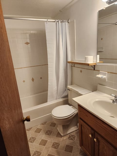 Combined shower/tub, free toiletries, hair dryer, towels