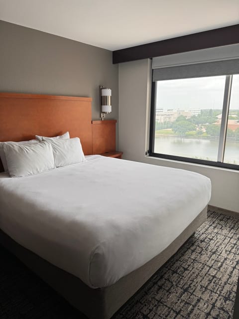 Room, 1 King Bed, View | Premium bedding, down comforters, pillowtop beds, desk