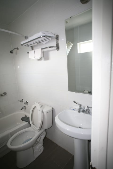 Traditional Single Room | Bathroom | Combined shower/tub, soap, shampoo, toilet paper