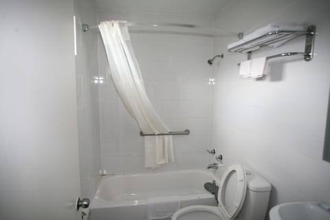 Traditional Single Room | Bathroom | Combined shower/tub, soap, shampoo, toilet paper