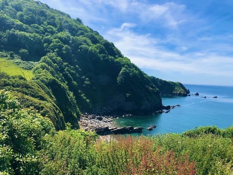 Beautiful scenery within walking distance of the lodge